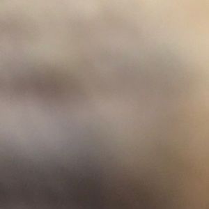 Meet your Posher, Pam